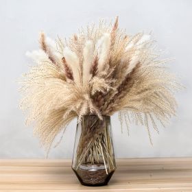 Phragmites Dried Flowers Bouquet Long Bouquet Reed Dried Natural Dried Pampa Grass Bouquet Home Wedding Living Room Decoration (Color: 62pcs  No vase, Ships From: China)